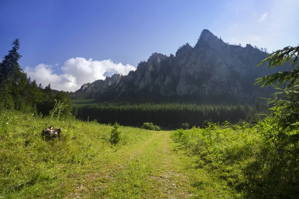 Mountain Landscape Rock Wall Green Forest Romanian Carpathians Ceahlau — Stock Photo, Image