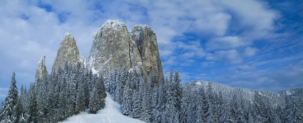 Winterszene Wald Schnee Einsamen Stein Rumänien — Stockfoto