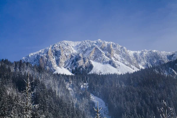 Зимняя Сцена Горах Хасмаса Румыния — стоковое фото