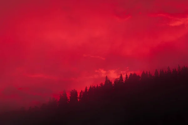 森林里有红色的夕阳云 山风景 — 图库照片