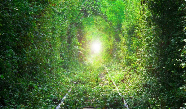 Túnel Amor Europa Oriental Ferrovia Floresta Com Sol Abstrato Final — Fotografia de Stock