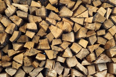 ağaçlar ahşap günlükleri yığını