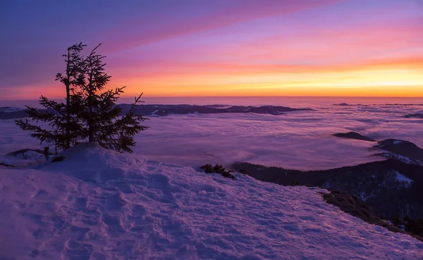 Mystische Winterlandschaft Mit Bergen Und Sonnenuntergang Oder Sonnenaufgang Ceahlau Rumänien — Stockfoto