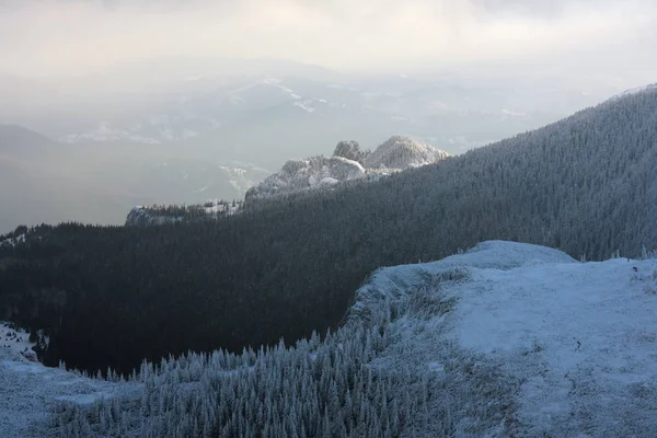 Vinterlandskap Ceahlau Berg Rumänska Karpaterna — Stockfoto