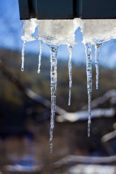 Círculo Telhado Foto Inverno — Fotografia de Stock