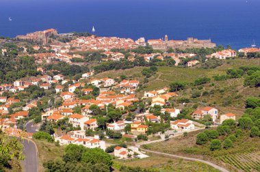 Pyrenees Orientales Vermilion sahil peyzaj, üzüm bağları alanları Collioure Köyü ve Akdeniz, Güney Fransa, Roussillon