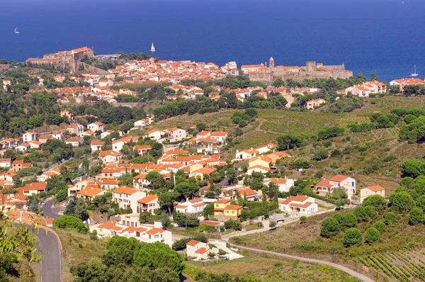 Pirineos Orientales Paisaje Litoral Bermellón Campos Viñedos Con Pueblo Collioure —  Fotos de Stock