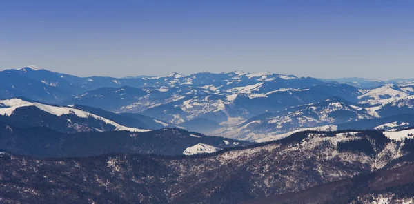 Montagne Rarau Romania Scena Invernale — Foto Stock