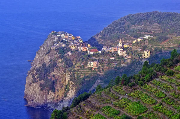 Stary villafe połowów Cornigli od se Cinque Terre, Włochy — Zdjęcie stockowe