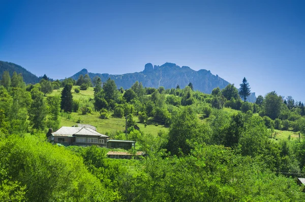 Ceahlau Mountain Landscape Romania Summer View — Stock Photo, Image