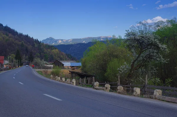 Tulghes ルーマニアの道路と山の風景 バック グラウンドで Ceahlau — ストック写真