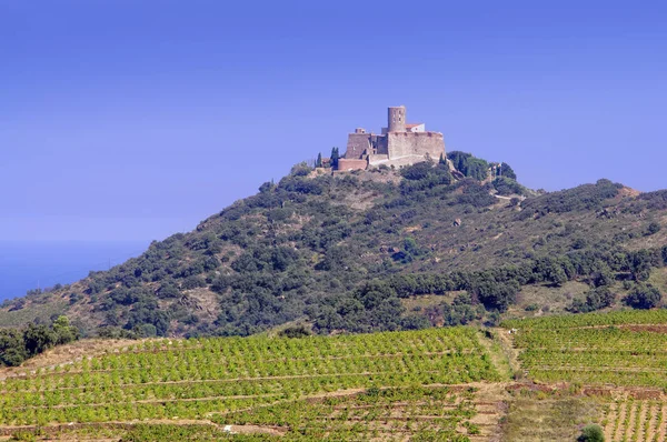 Saint Elme Fästning Languedoc Roussillon Frankrike — Stockfoto