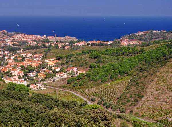 Landsbyen Collioure Vermilion Coast Languedoc Roussillon Frankrig - Stock-foto
