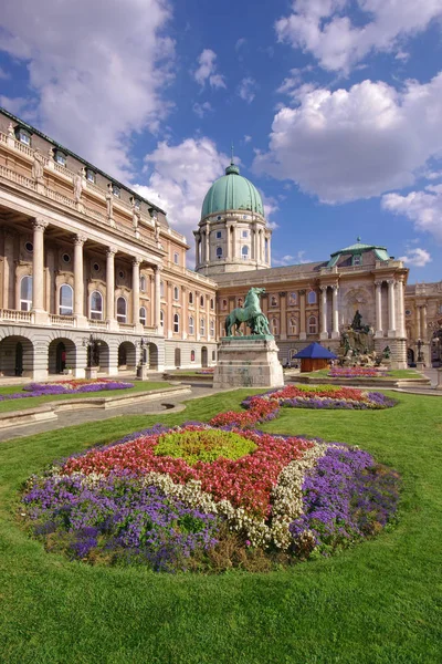 Kungliga Slottet Budapest Utsikt Över Trädgården Med Blommor — Stockfoto