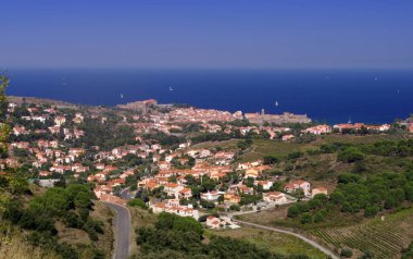 Pyrenees Orientales Vermilion sahil peyzaj, üzüm bağları alanları Collioure Köyü ve Akdeniz, Güney Fransa, Roussillon