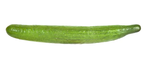 Green Cucumber Vegetable Isolated White — Stock Photo, Image