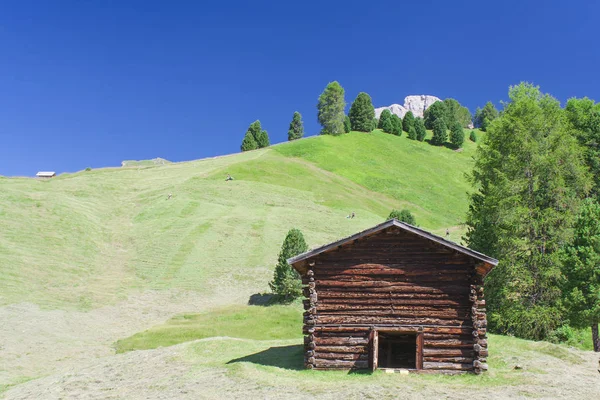Хатина Літній Гірський Ландшафт Італія Доломітові Альпи — стокове фото