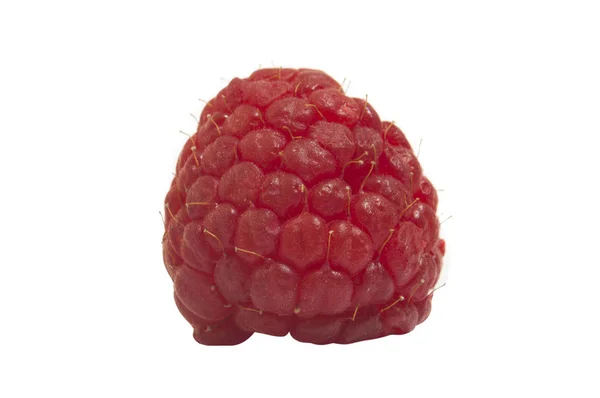 Macro Raspberry Fruit Isolated White — Stock Photo, Image