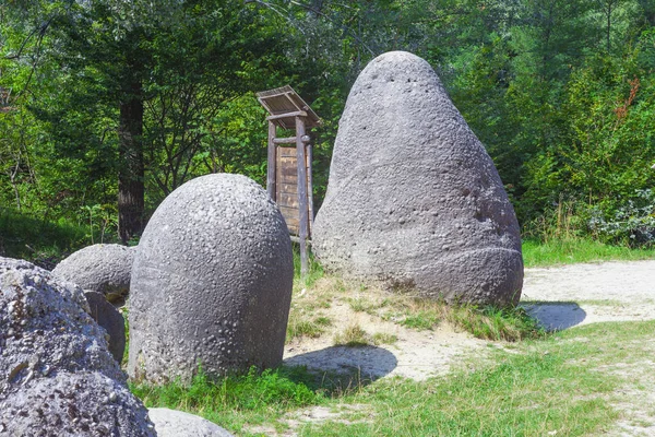 Büyüyen Concretions Eski Trovant Doğal Oluşan Çimento Kum Romanya Avrupa — Stok fotoğraf