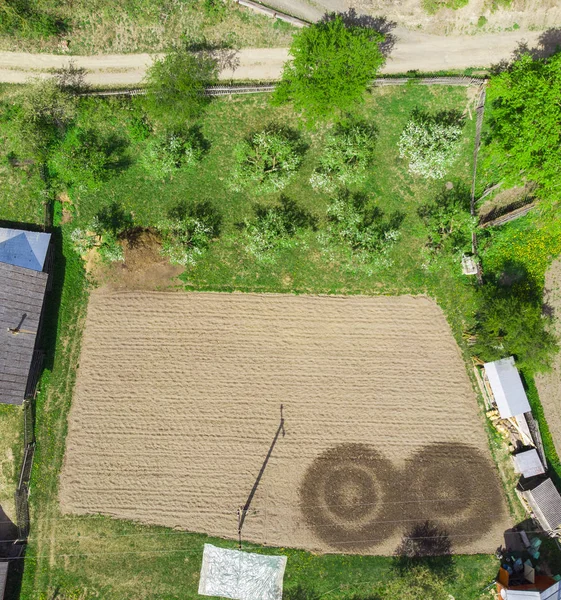 Veld Apple Bomen Tuin Landschap Van Petru Voda Roemenië — Stockfoto