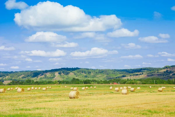 Countryside View Hay Bales Nature — Stock Photo, Image