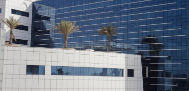 Modern binanın tepesinde palmiye ağaçları