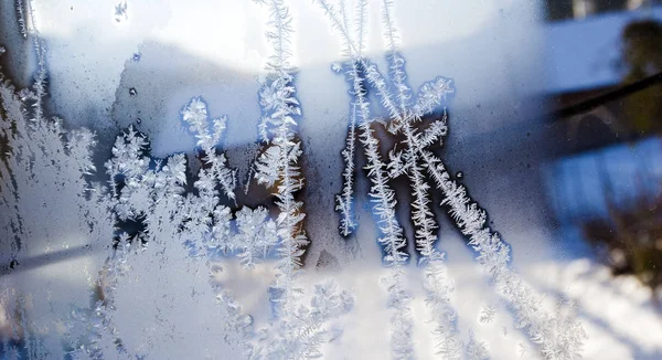 Cristaux Glace Gelés Sur Fenêtre — Photo