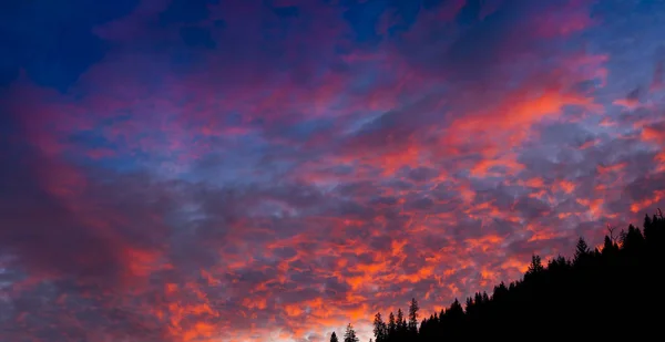 Krajina Západu Slunce Lese — Stock fotografie