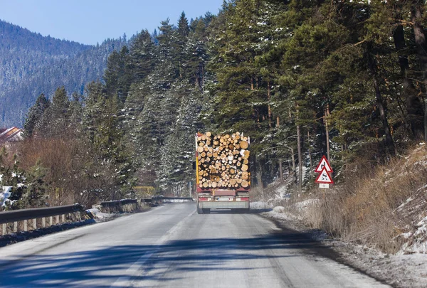 Vrachtwagen Met Houtblokken Rijden Uit Het Bos Rechtenvrije Stockfoto's