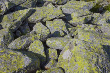 Dağdaki taş kayalar