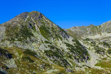 Romanya 'daki Retezat Dağı. yaz görünümü
