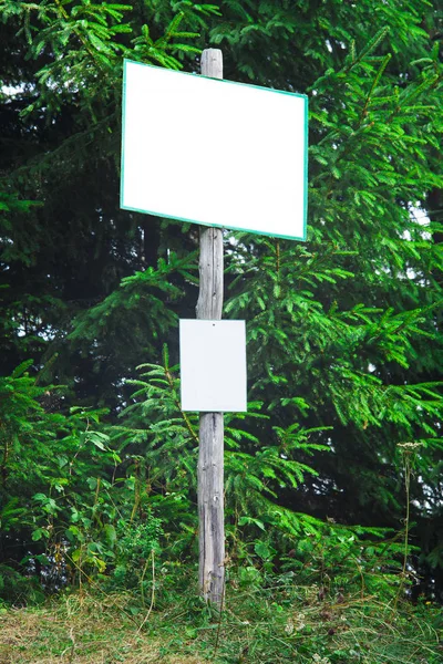 Placa Branca Floresta Para Seu Texto — Fotografia de Stock