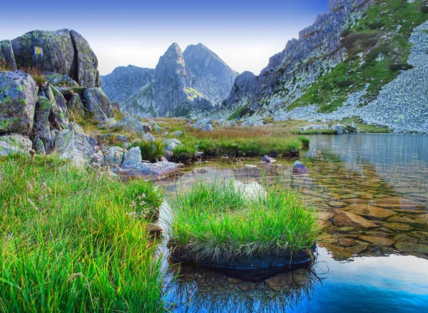 Lago Paisaje Montaña Retezat Rumania Imágenes de stock libres de derechos