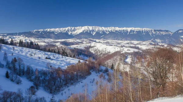 Piatra Craiului Berg Winterlandschaft — Stockfoto