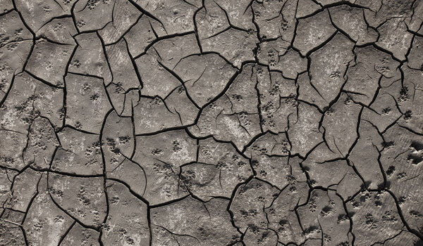 трещины текстуры почвы концепции сухого грунта и экологии
