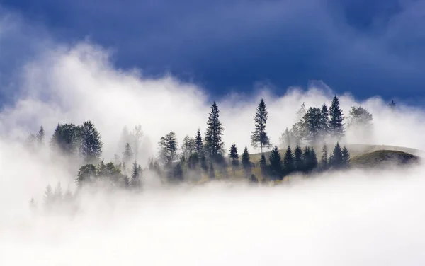 Δάσος Στον Ουρανό Σύννεφα Στη Φύση — Φωτογραφία Αρχείου