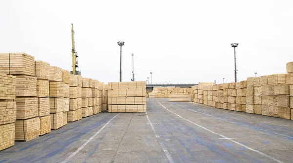 可在港口装运的木柴堆 — 图库照片