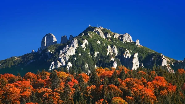 Romanya 'nın Ceahlau kentinde sonbahar ormanı ve dağ manzarası — Stok fotoğraf