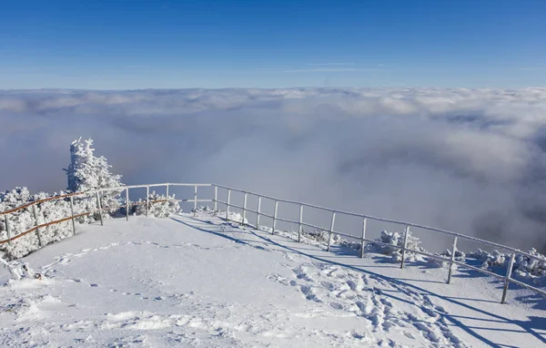 Reposant Dessus Des Nuages Paysage Montagne Ceahlau Hiver Roumanie — Photo