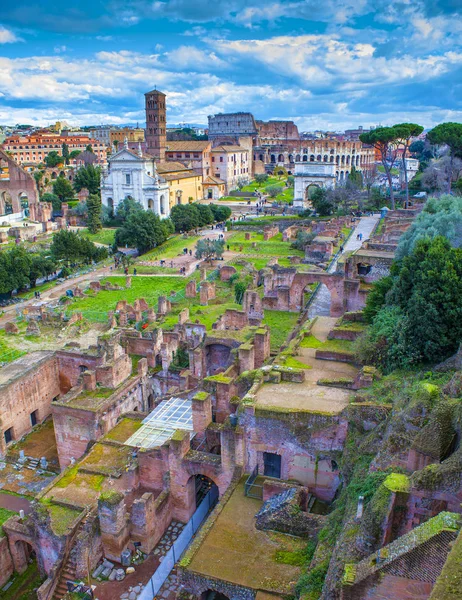 Ruinas Del Foro Romano Roma Italia — Foto de Stock