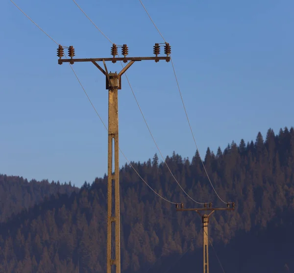 grid of electricity pole and forest background
