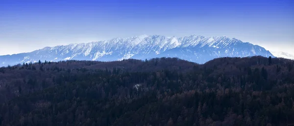 Piatra Craiului Berg Winter Rumänien — Stockfoto