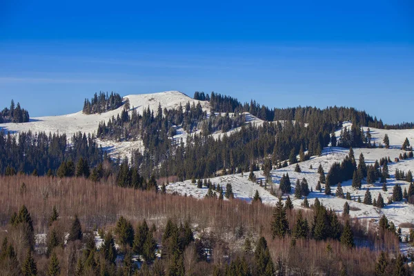 Parvu Gipfel Poiana Teiului Rumänien 1248M Höhe Winterszene — Stockfoto