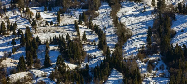 Garten Mit Schnee Und Bäumen Das Ländliche Rumänien — Stockfoto