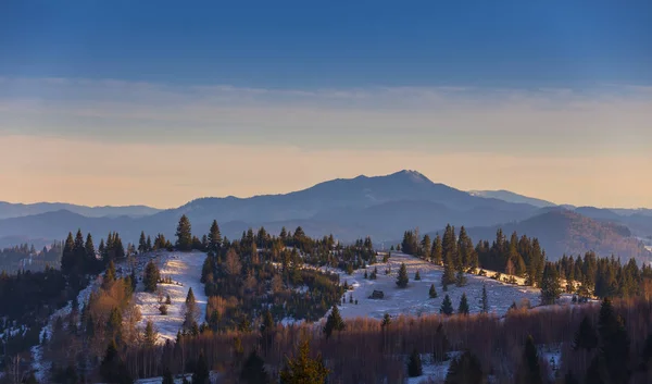 Tarcau Paesaggio Montano Inverno Romania — Foto Stock