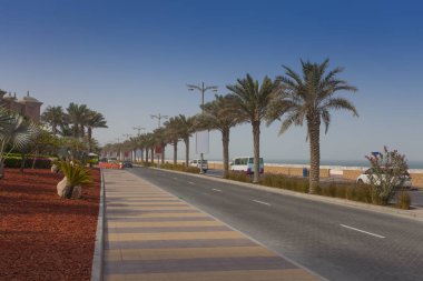 Dubai şehrinde güzel palmiye ağaçları, Birleşik Arap Emirlikleri