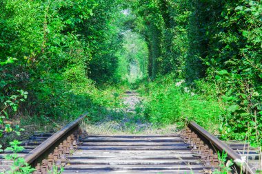 Ormanda tren yolu ile aşk tüneli. Romanya