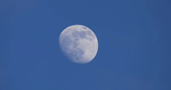 Belle Lune Sur Fond Ciel Bleu — Photo