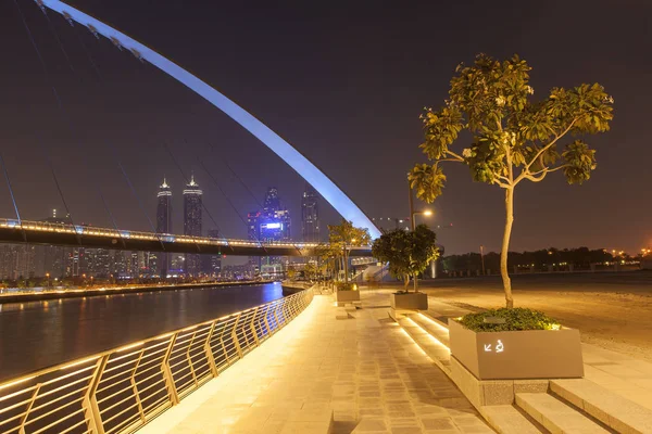 Ponte Tolleranza Nella Città Dubai Scena Notturna — Foto Stock