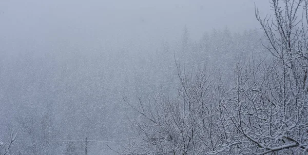 Scena Invernale Nel Paesaggio Montano Nevicando Nella Foresta — Foto Stock